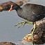 thumbs/IMG_3047.jpg